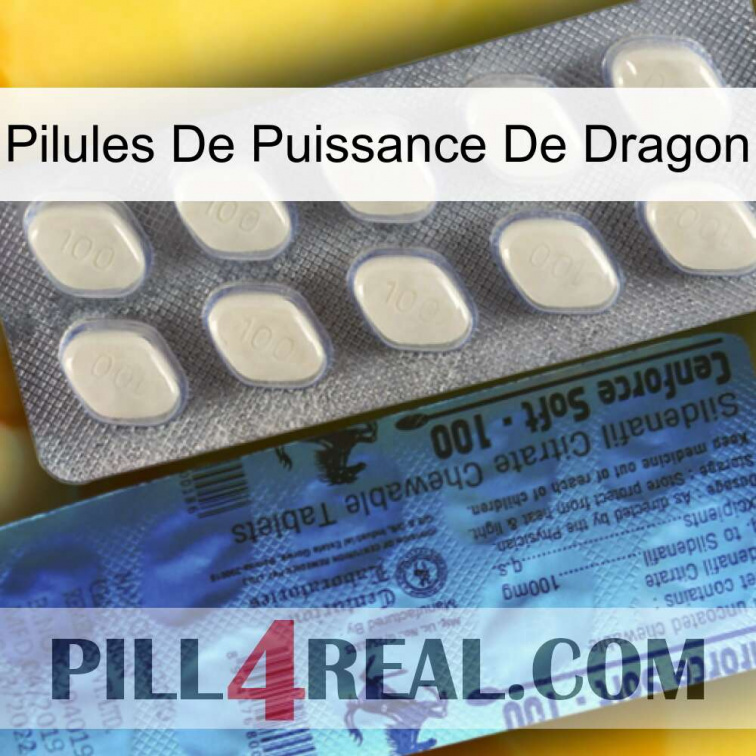 Dragon Power Pills 34